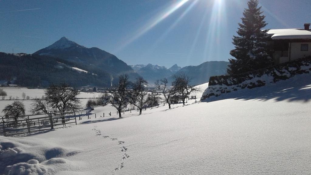 Oberfischergut Flachau Dış mekan fotoğraf